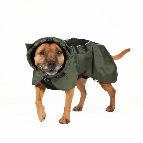 Dog Raincoat Ears - UNISEX