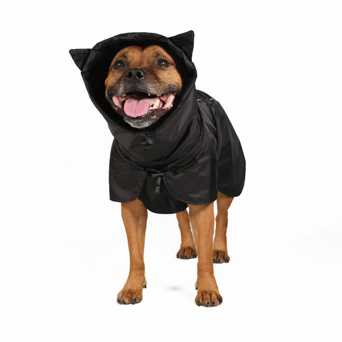 Dog Raincoat Ears