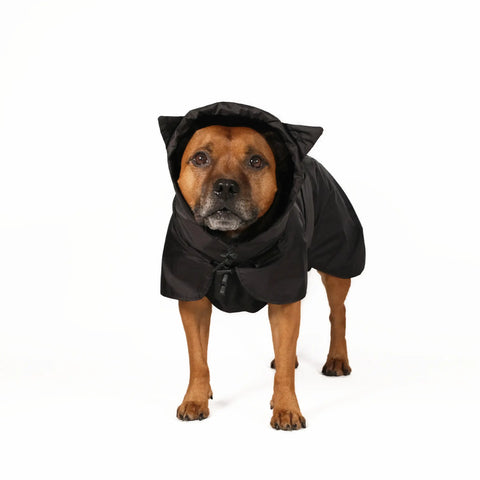 Dog Raincoat Ears - UNISEX