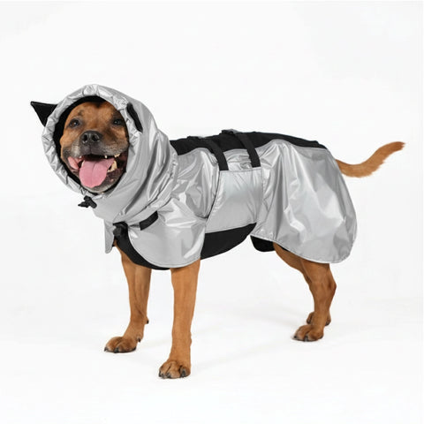 Dog Raincoat Ears