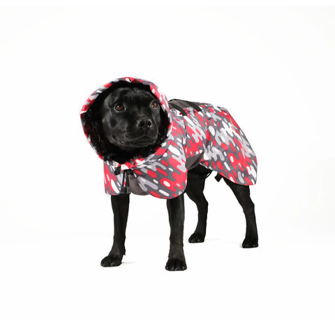 Dog Raincoat Limited