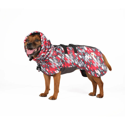 Dog Raincoat Limited