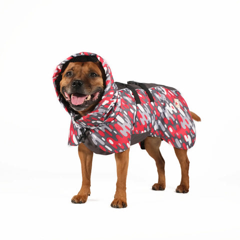 Dog Raincoat Limited