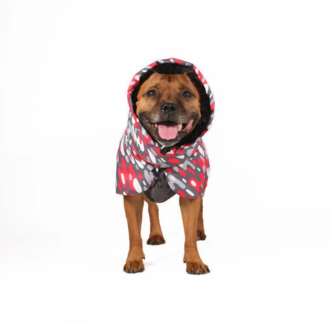 Dog Raincoat Limited