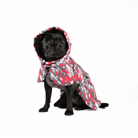 Dog Raincoat Limited