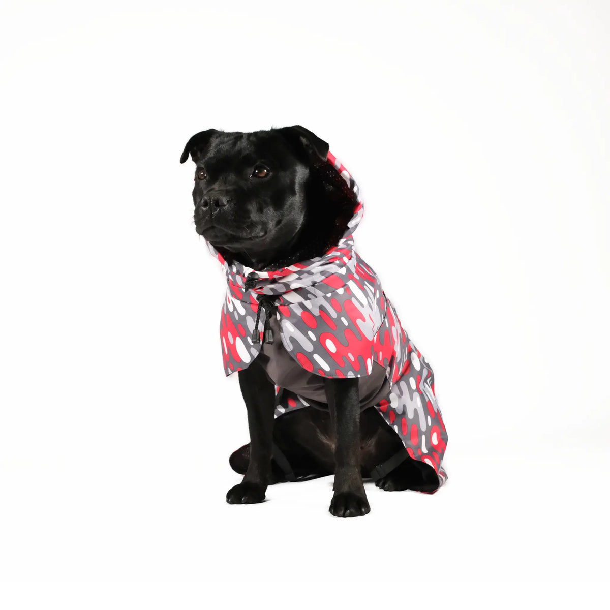 Dog Raincoat - S-35, S-40, M-35, M-40, L-45, XL-50, XXL-55, XXXL-60