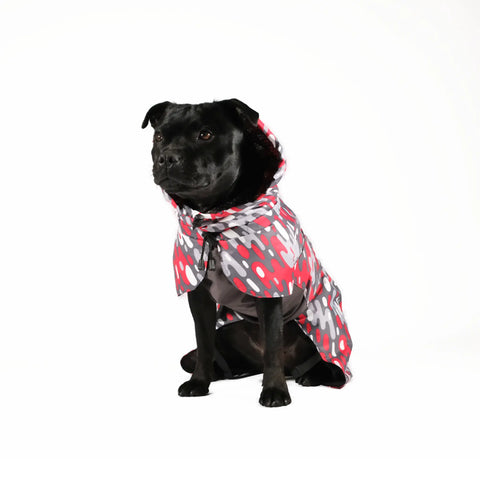 Dog Raincoat Limited