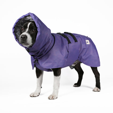 Termo winter dog jacket