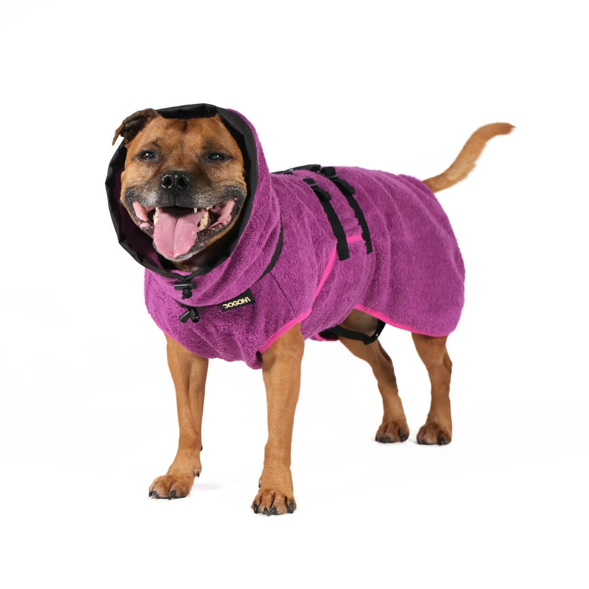 Dog Bathrobe