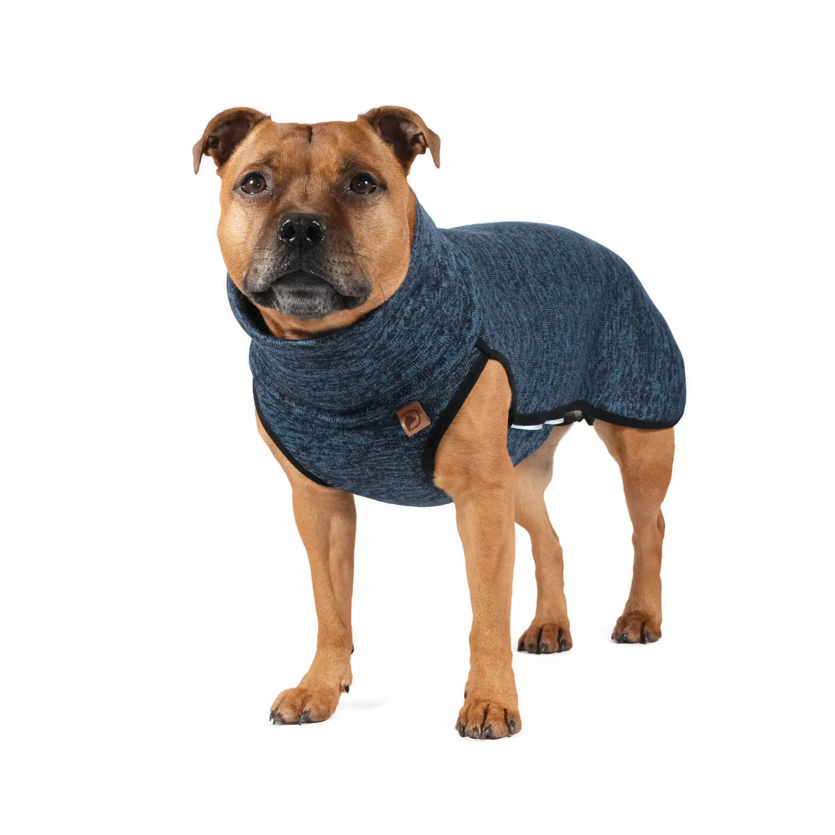 Dog turtleneck sweatshirt - M, L - UNISEX