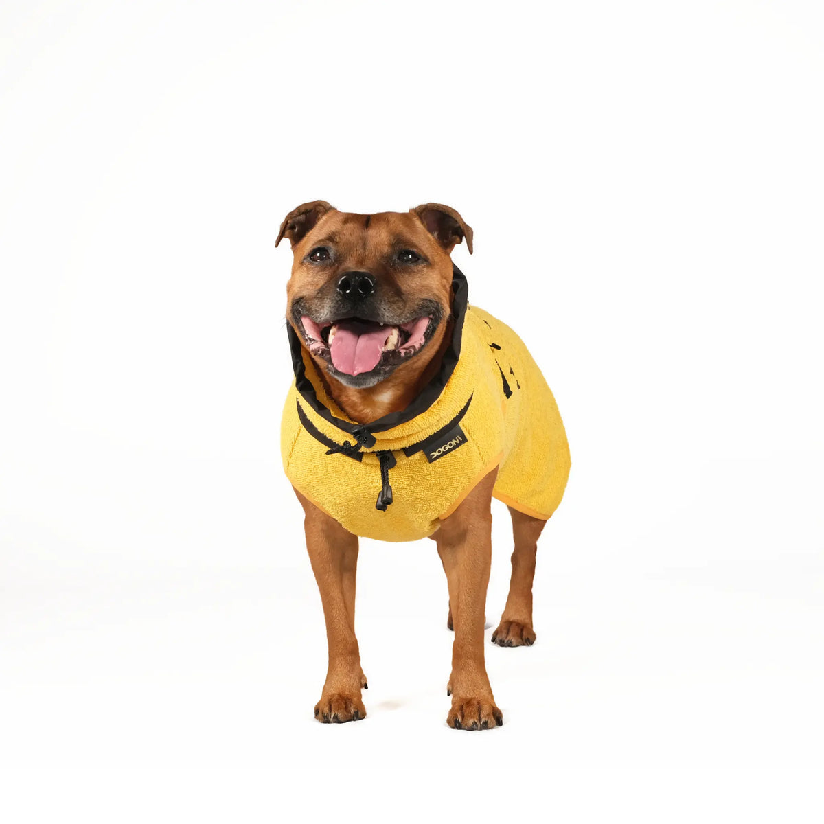 Dog Bathrobe
