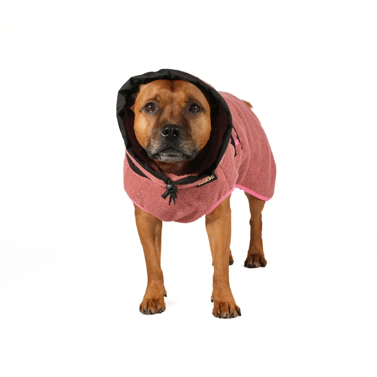 Dog Bathrobe