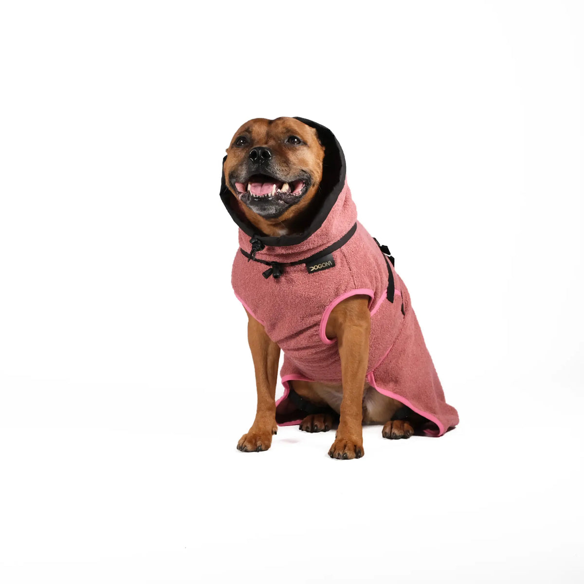 Dog Bathrobe